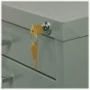 Buy 👏 Safco Lock Kit for 10-Drawer File ⌛